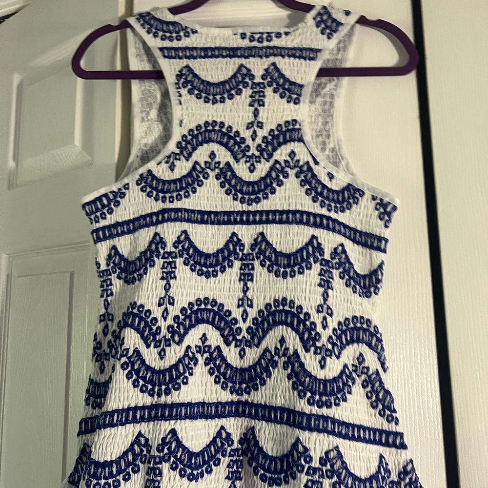 Embroidered Ruffled Sleeveless Dress - Picture 14 of 16